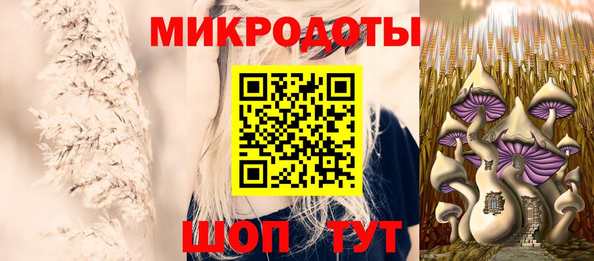 Димитровград  Галлюциногенные грибы мухоморы  Вход с VPN 